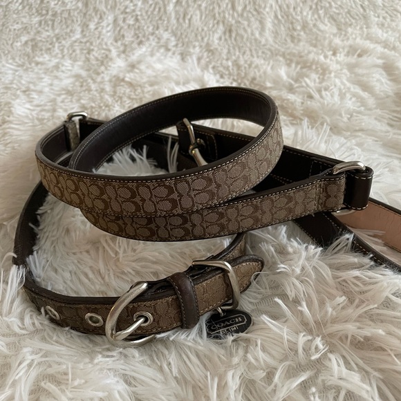 Coach Dog Coach Leash And Collar Poshmark
